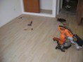 /album/galeria/a12933138-783674481734517-6335187409670004094-n-jpg/